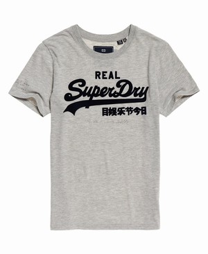 Superdry Vintage Logo Flock Script Női Pólók Szürke | JZPCU5803